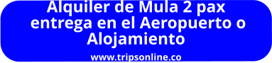 Alquiler de Mula 2 pax  entrega en el Aeropuerto o  Alojamiento www.tripsonline.co