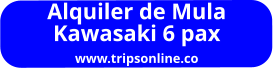 Alquiler de Mula  Kawasaki 6 pax www.tripsonline.co