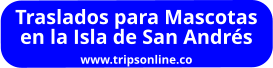 Traslados para Mascotas  en la Isla de San Andrés www.tripsonline.co